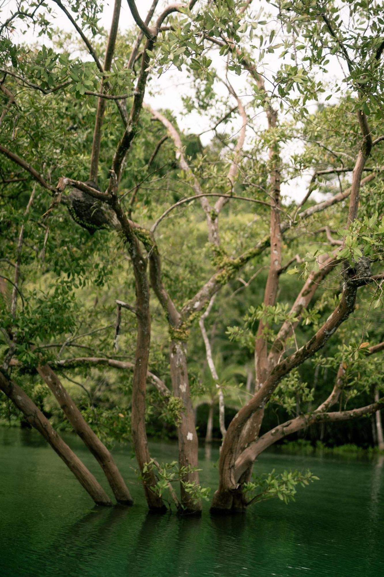 Saladero Ecolodge Esquinas Buitenkant foto